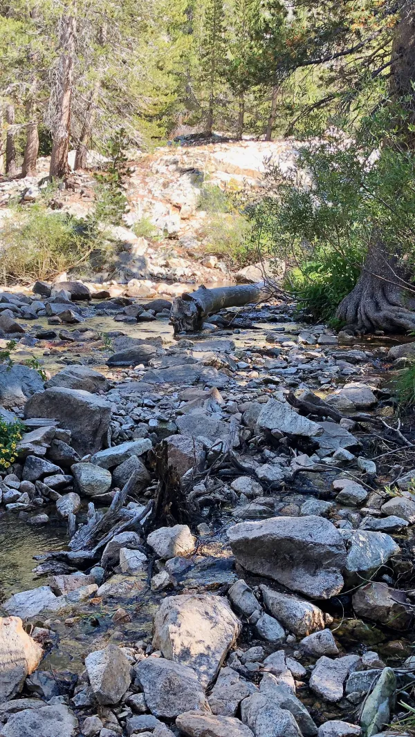 Baxter Creek