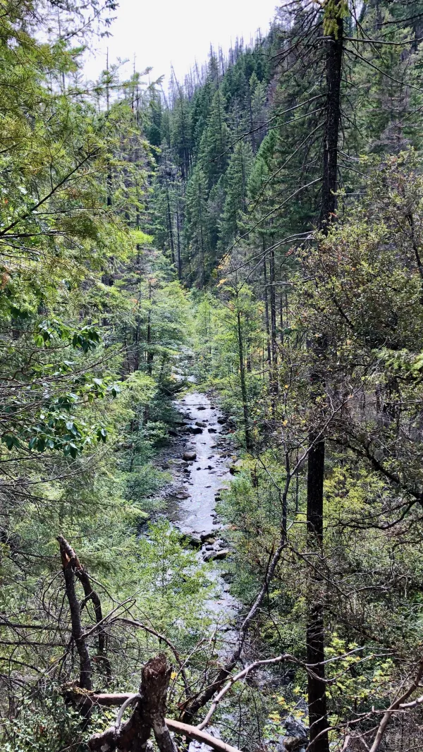 A view of Grider Creek