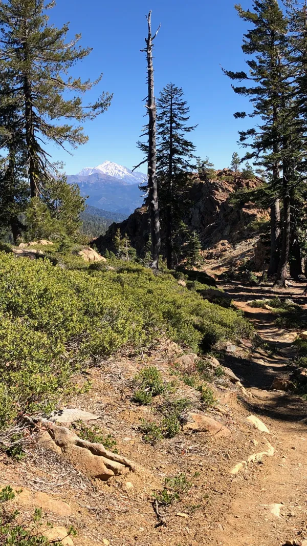 A view of Mt. Shasta from the PCT