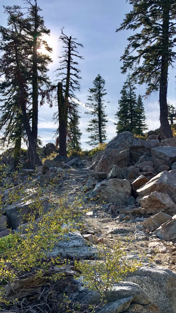A short section of the trail made a climb