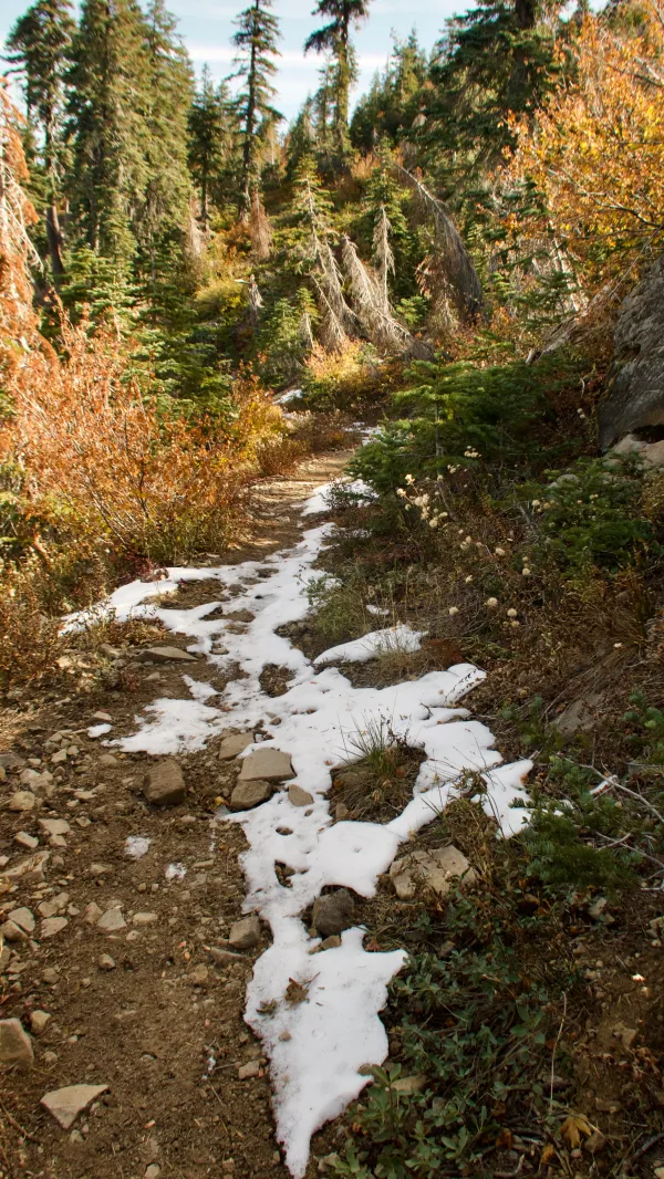 A small patch of snow