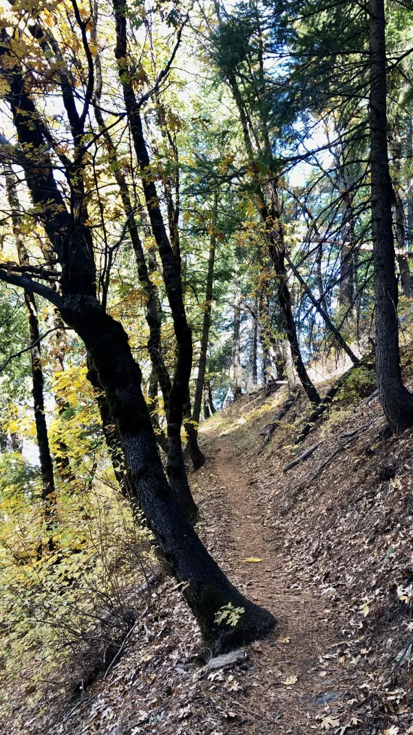 A switchback on the climb in Bucks Lake Wilderness