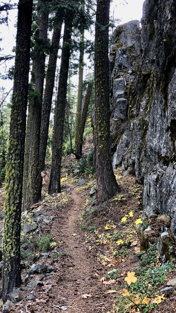 The trail next to a rock wall