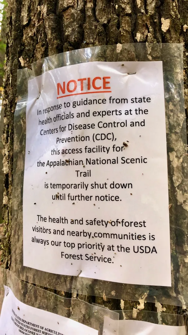 A COVID-19 warning posted on a tree