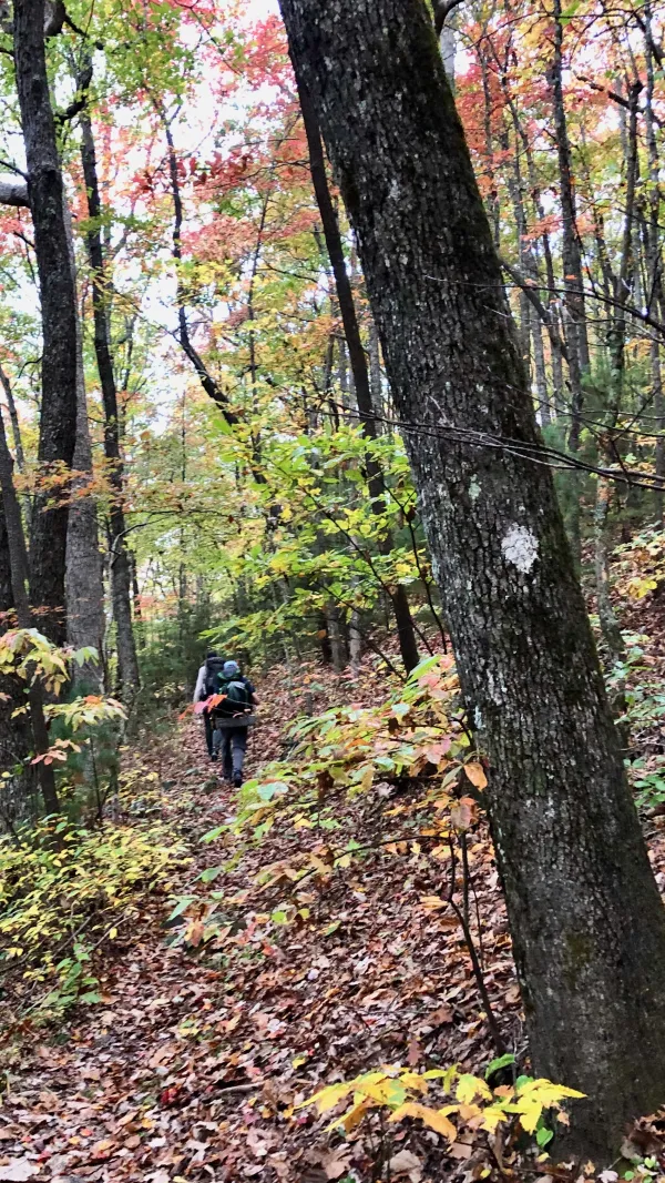 The Benton MacKaye Trail