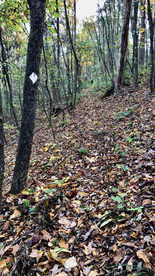 Benton MacKaye Trail