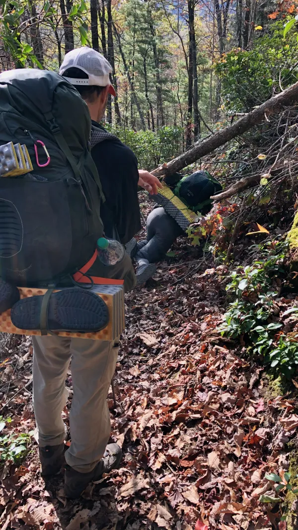 Ducking under a blowdown