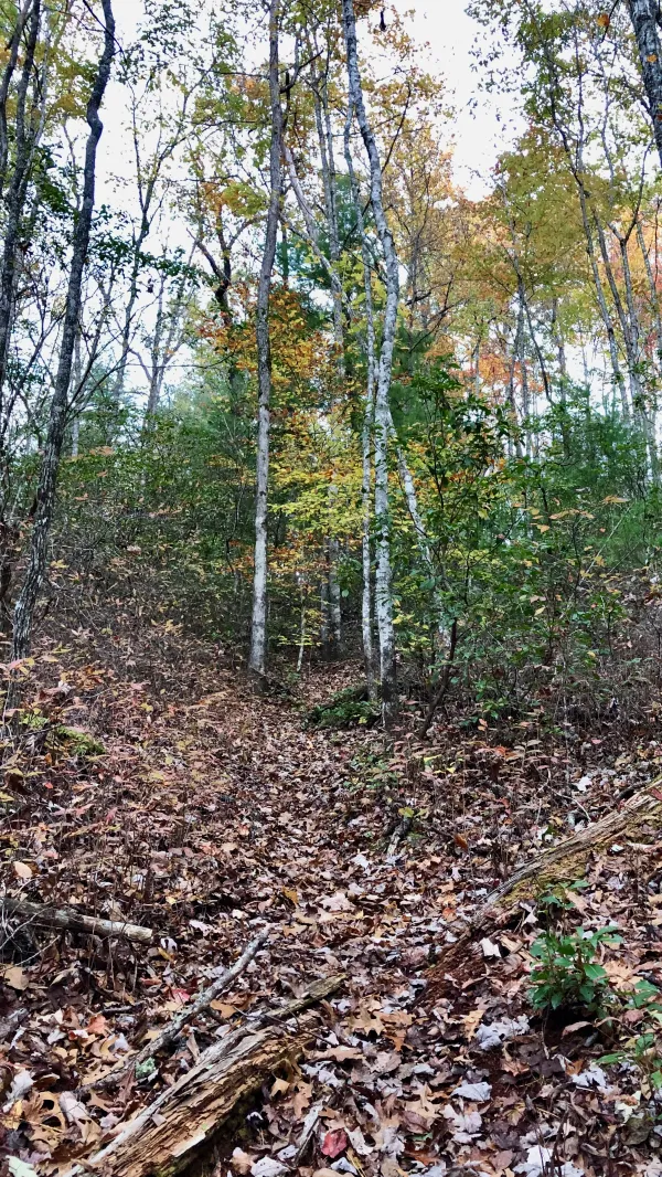 A steep climb out Nichols Cove
