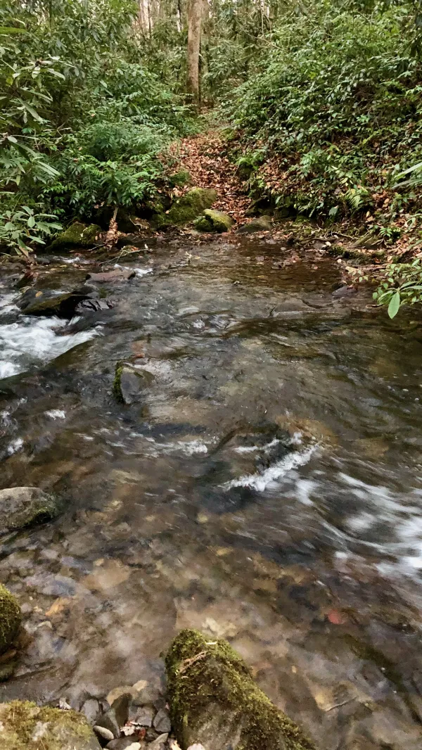 Pole Road Creek