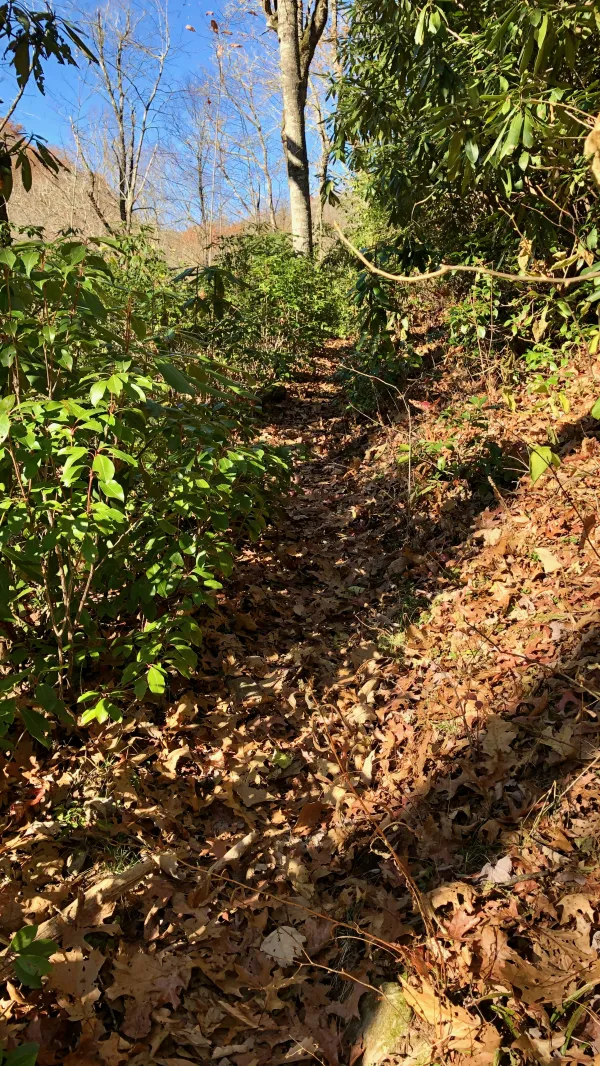 A steep climb on the Noland Creek Trail 