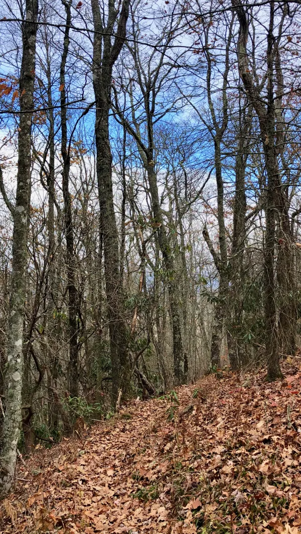 A break in the clouds