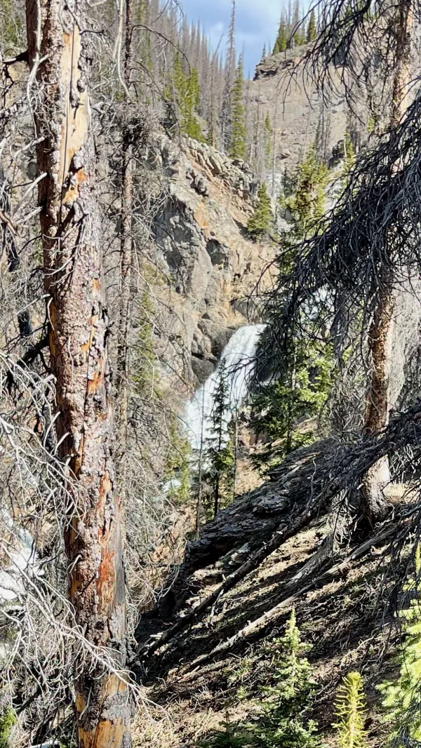 A waterfall on Prospect Creek
