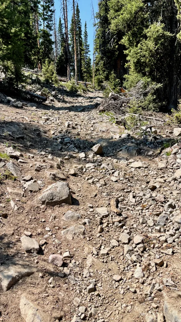The trail begins a steep climb