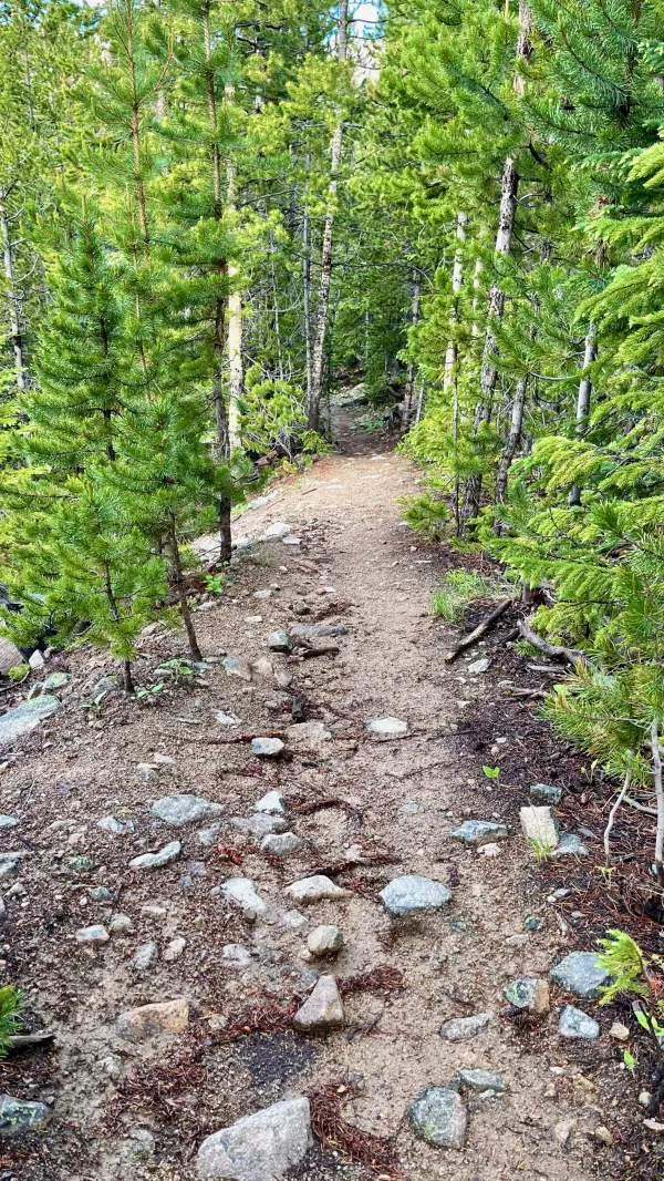 The wrong trail