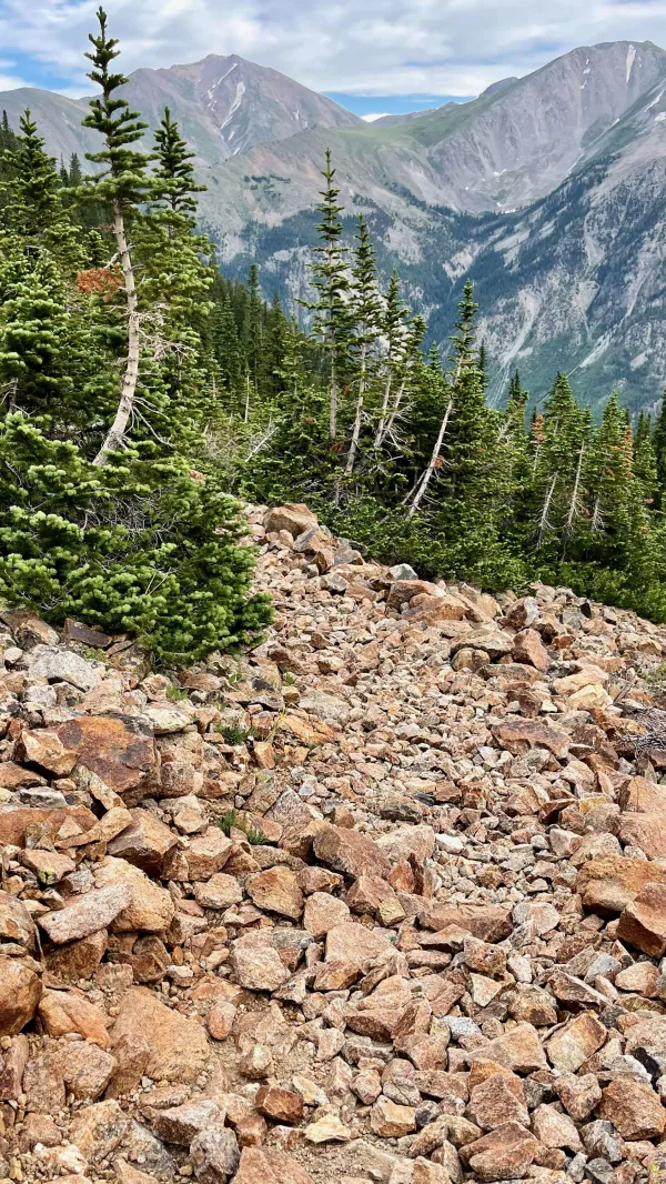 Talus on the trail