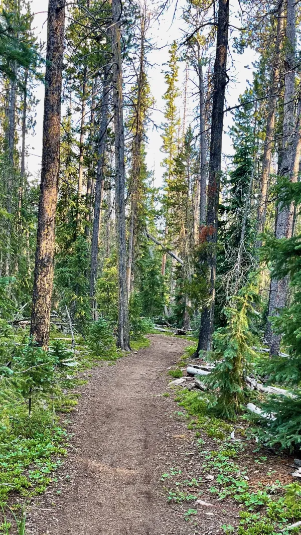 The trail near Razor Creek