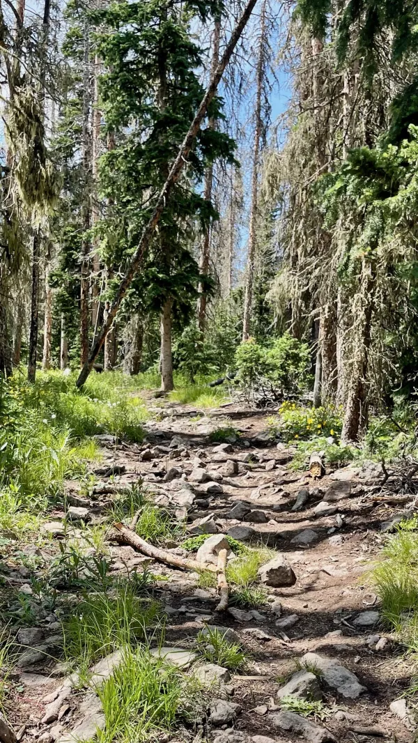 Rocky trail