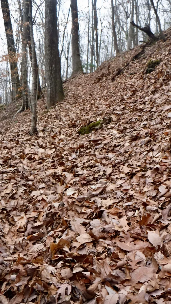 Steep climb