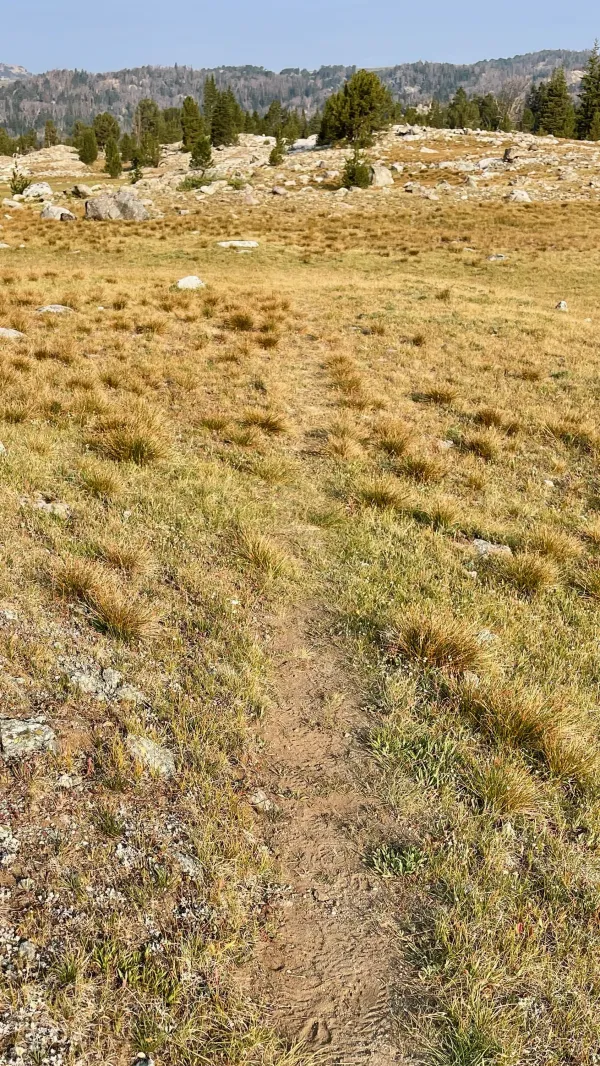 The trail disappears