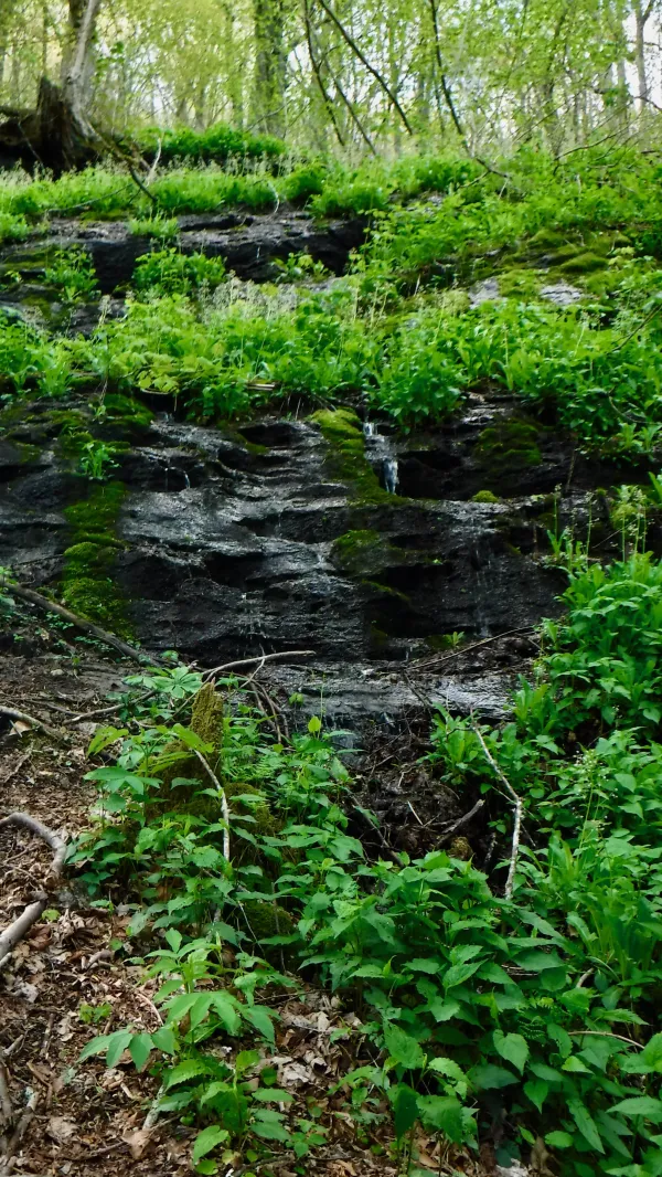 Trickling waterfall
