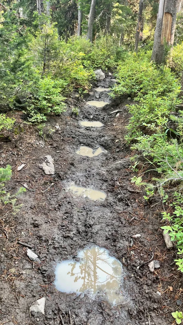 A trail eroded by horses