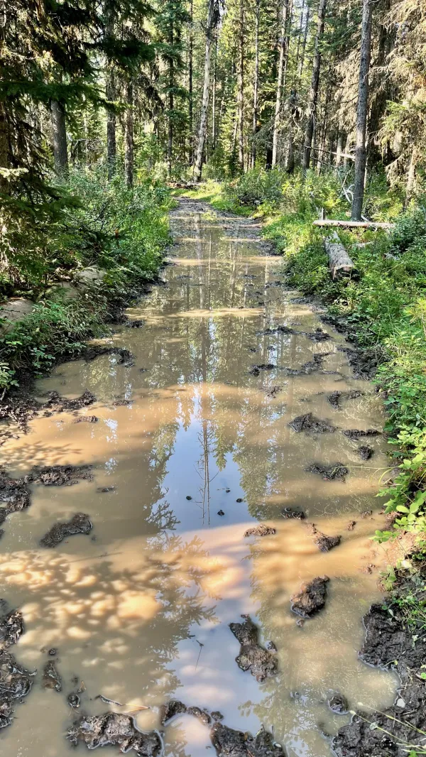 A flooded section of trail