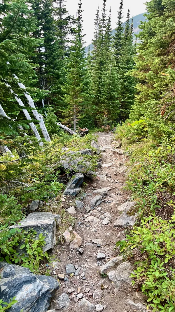 Rocks on the trail