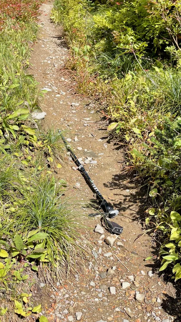 A trekking pole lying on the trail