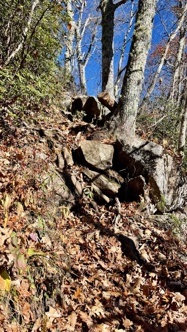 A steep section of the Art Loeb Trail