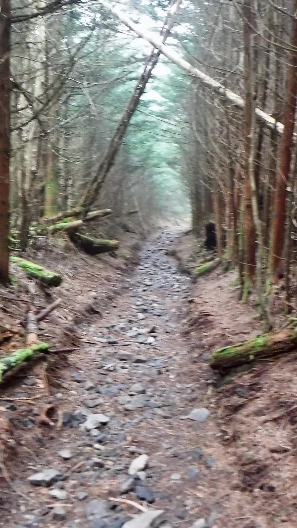 Rocky trail