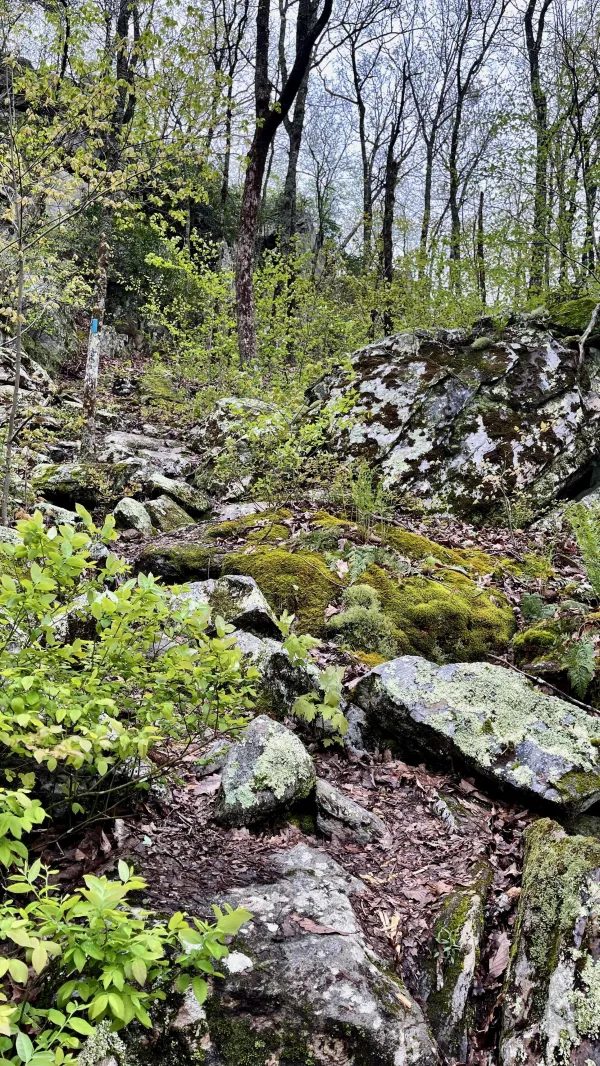 Large boulders are scattered where the trail climbs