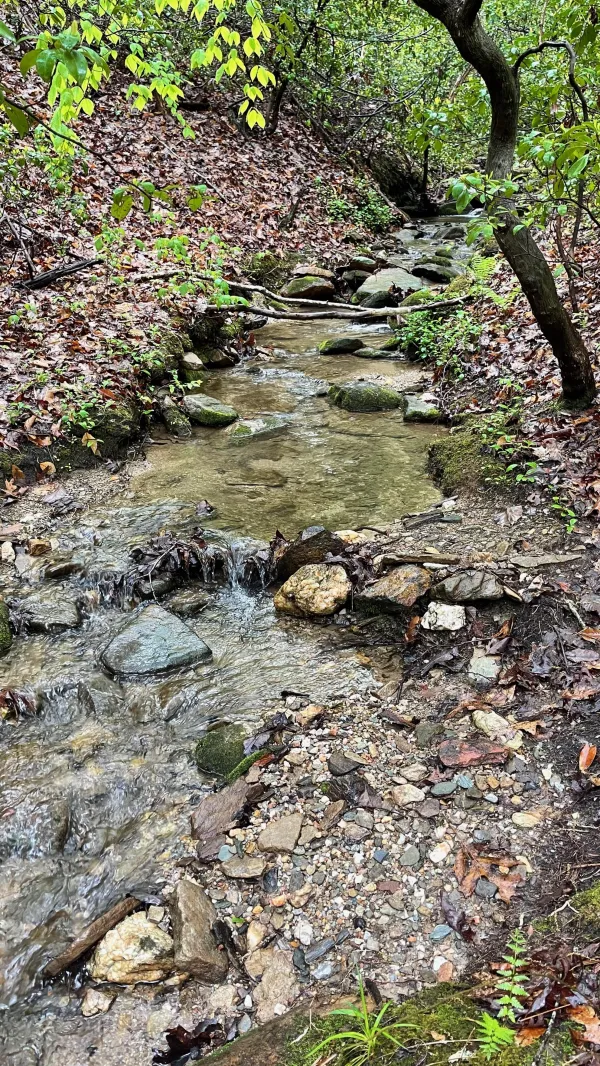 A small stream