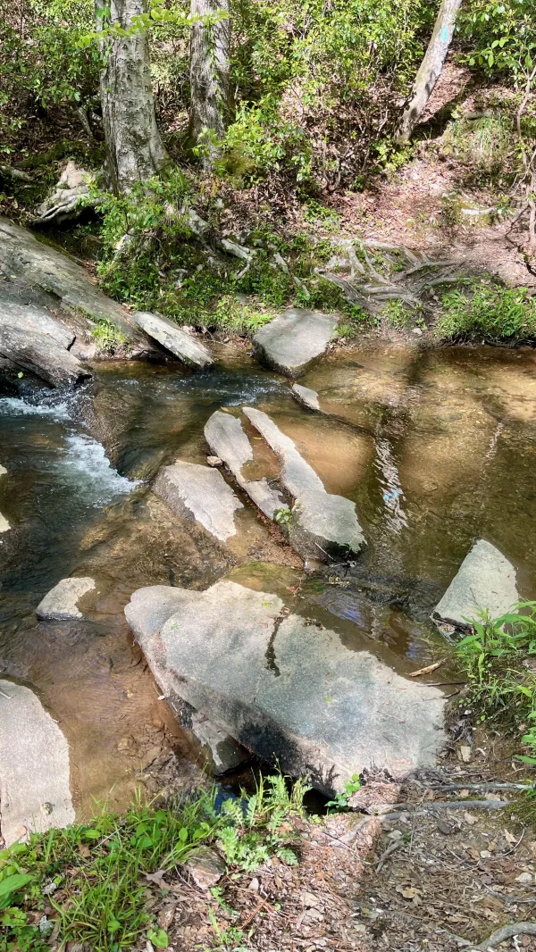 Rocks make an easy way to cross a stream