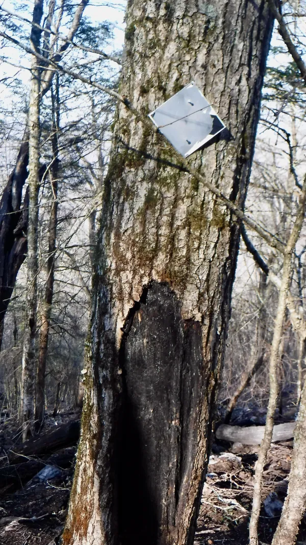 Fire damage, scorched sign