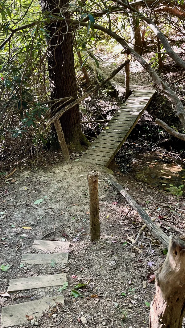 A small bridge crosses a stream