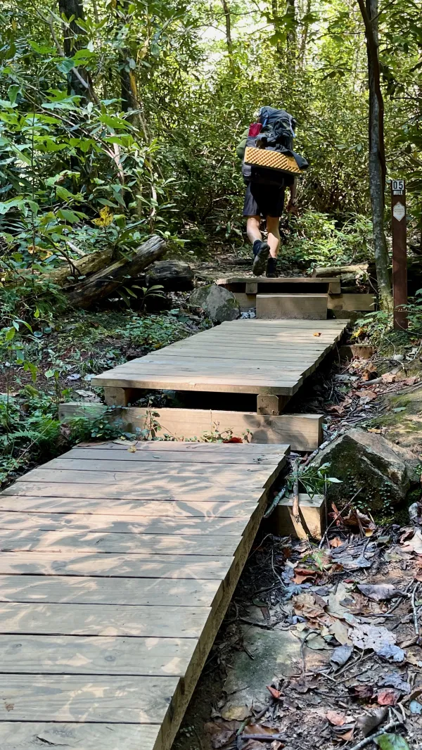 A boardwalk with steps