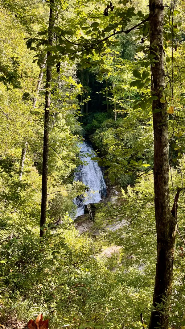 Laurel Fork Falls