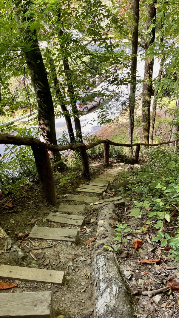 Steps with a railing