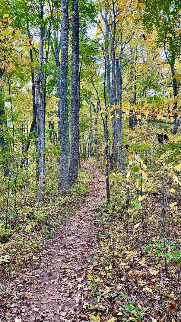 The Bartram Trail continues to climb