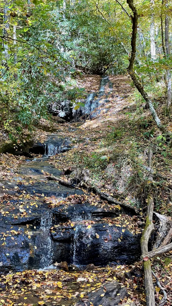 Ray Cove Falls