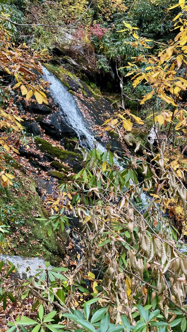 Bartram Falls
