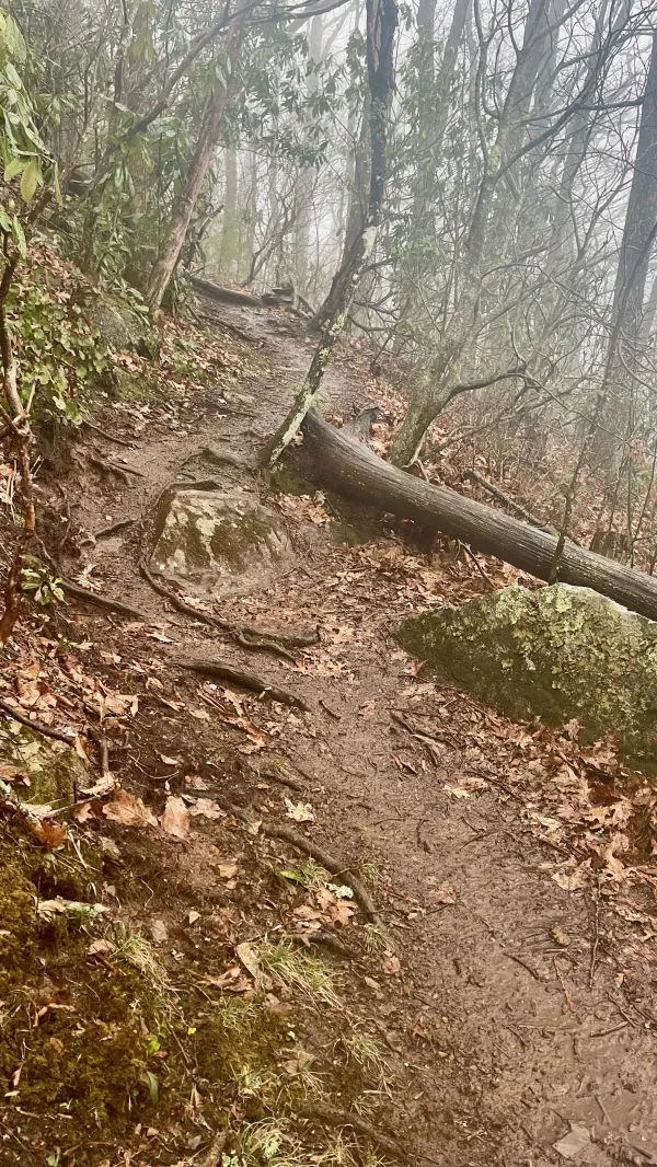 Muddy trail