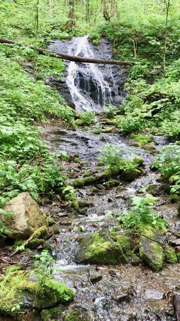 Cascade on Sugarloaf Branch