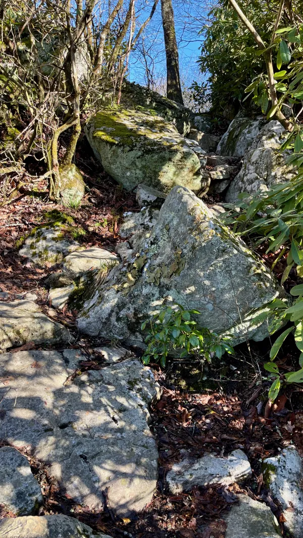 A rocky trail goes over Big Butt