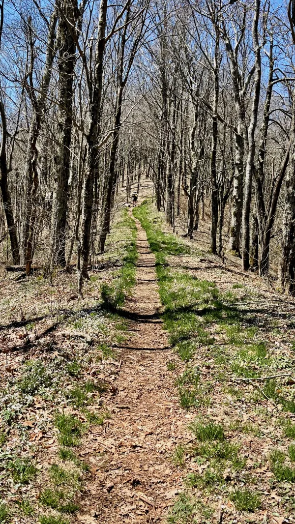 The AT follows a narrow ridge