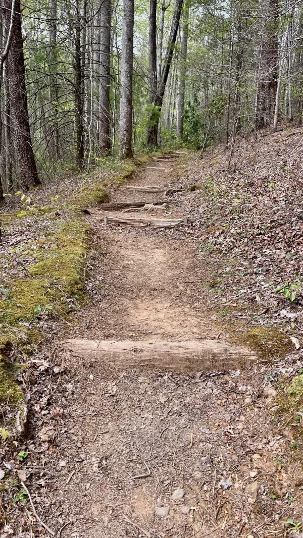 Steps ascending Mt. Cammerer