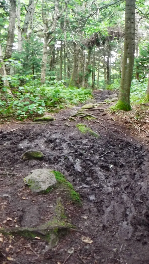 Vermont mud