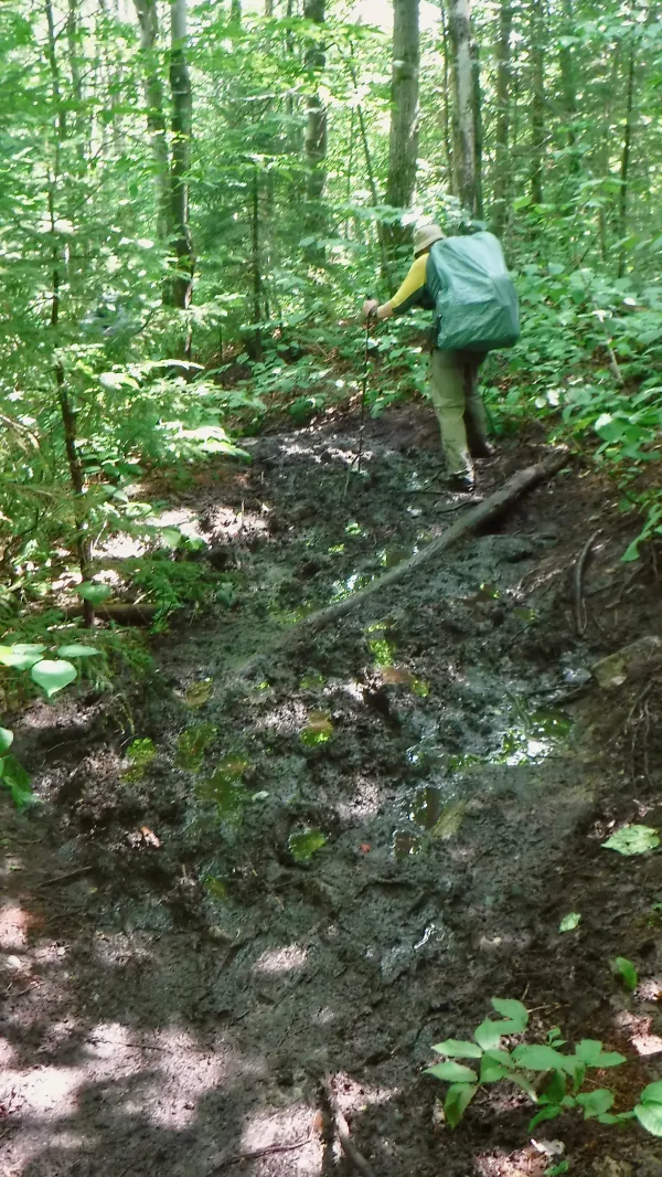 Stick on climb up Stratton Mountain