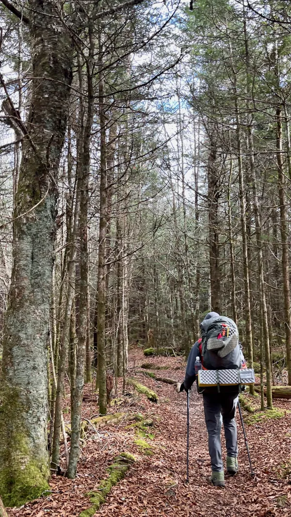 The Appalachian Trail in the Smokies