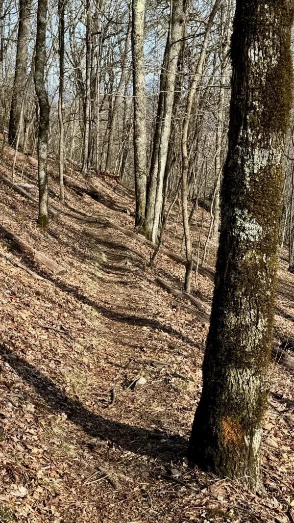 A section of smooth footpath